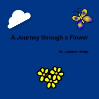 A Journey through a Flower