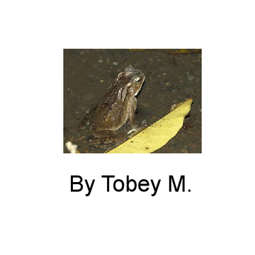 Tobey M.