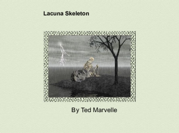 Lacuna Skeleton