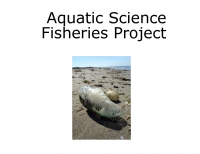 Aquatic Fisheries Project Practice Book