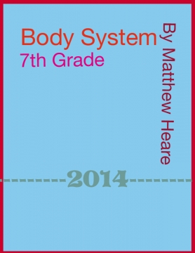 Body System