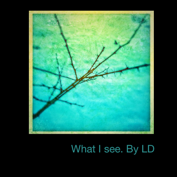 What I see. By LD