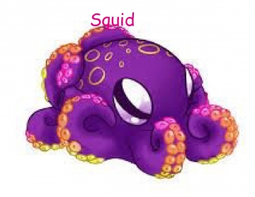 Squid