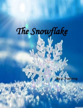 The Snowflake