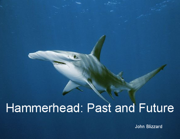 Hammerhead: Past and Future