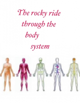 Road trip through the body system