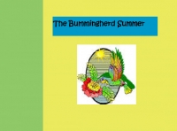 Bummingherd Summer