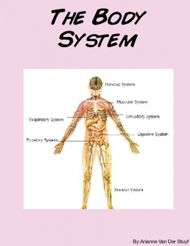 My journey through the body system
