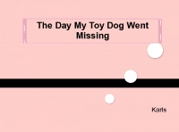 the day my toy dog went missing