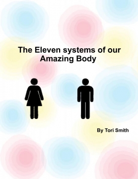 Systems of the Human Body
