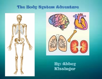 The Body System Adventure