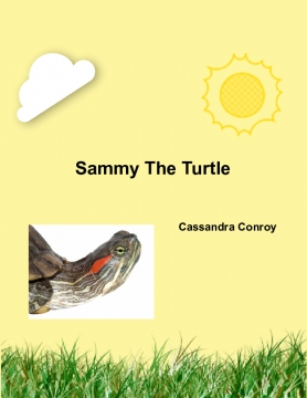 Sammy the turtle