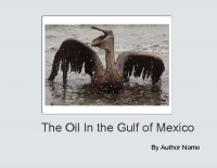 The Oil In The Gulf