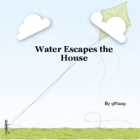 Water Escapes the House