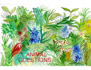 Animal Questions