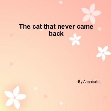The cat that never came back