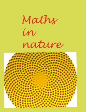 Maths in nature