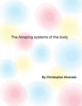 The Amazing Systems of The Body