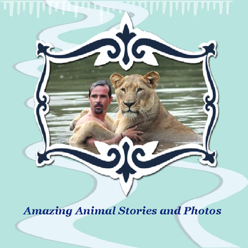 Amazing Animal Stories and Photos