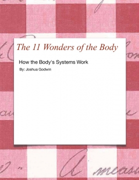 The 11 Wonders of the Body