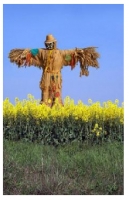 *