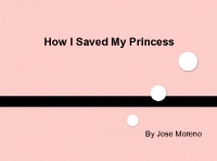Saving My Princess