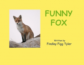 Funny Fox