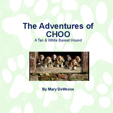 The Adventures of Choo