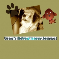 Luca's Adventurous Journal