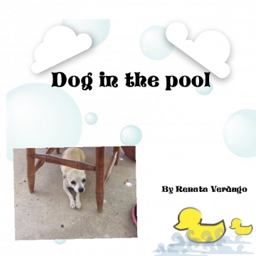 Dog in the pool