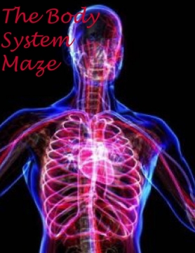 The Body system Maze
