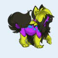 author icon