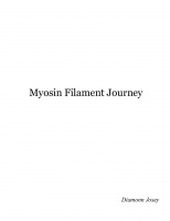 Myosin Filament Journey