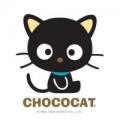 author icon