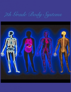 7th Grade Body Systems
