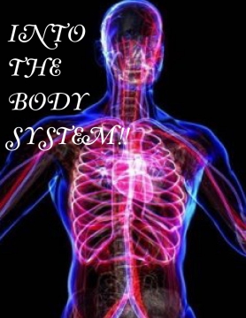 Into the body system!!