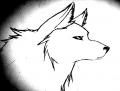 author icon