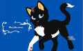 author icon