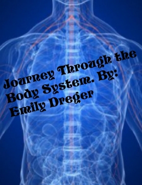 Journey through the body system