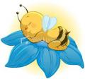 author icon