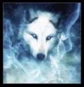 author icon