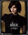 author icon