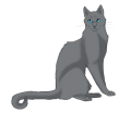 author icon