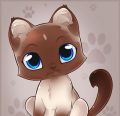 author icon