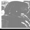 author icon