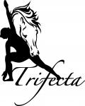 author icon