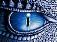 author icon