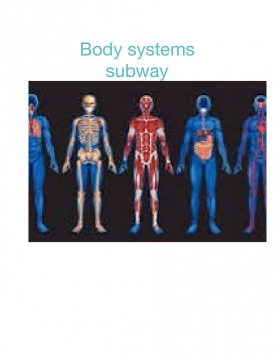 Body system subway