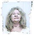 author icon