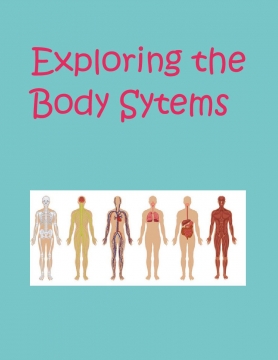 Exploring the Body System
